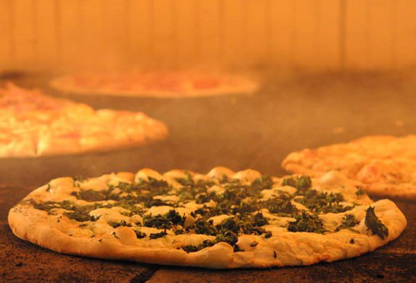 The Ultimate Pizza Tour